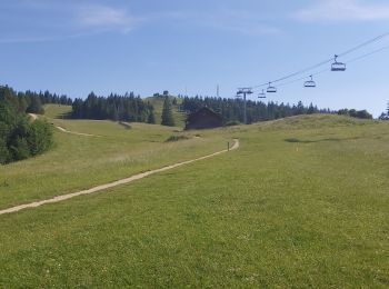 Tocht Stappen Métabief - Metabief/ lac du Morond - Photo