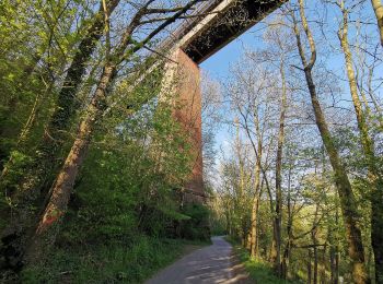 Randonnée A pied Waiblingen - Remstal - Schwaikheim - Photo