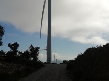 Randonnée Marche Motril - Éoliennes  - Photo