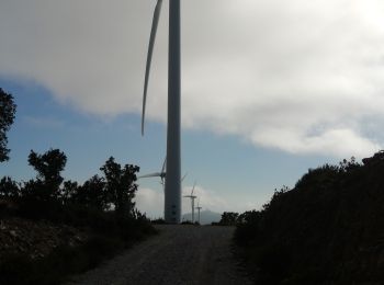 Tocht Stappen Motril - Éoliennes  - Photo