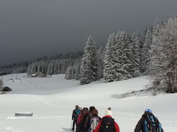 Tour Schneeschuhwandern Les Rousses - Noirmont 39 boucle - Photo