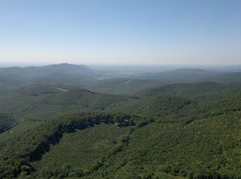 Excursión A pie Szilvásvárad - Bükk-fennsík - Olasz-kapui Tanösvény - Photo