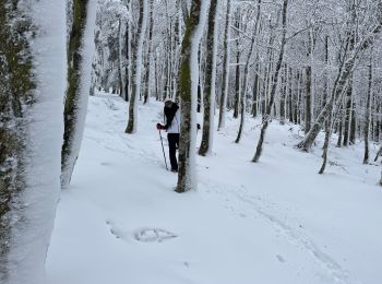 Trail Snowshoes Le Valtin - Col de la Schlucht - Photo