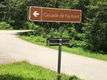 Tocht Stappen Le Val-d'Ajol - Cascade de Faymont - Photo