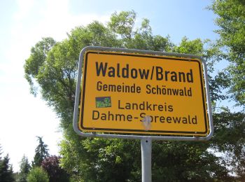 Randonnée A pied Schönwald - Wanderweg Reichwalde-Kasel-Golzig-Waldow - Photo