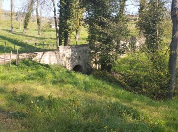 Percorso Marcia Pollionnay - Pollionay, Croix du Ban, la Luere - Photo