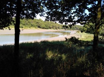 Trail Walking Auray - Le long du Loch  _ Rostevel 13/07/2020 - Photo