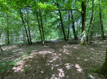 Trail Walking Razès - De Razes à Silord et retour - Photo