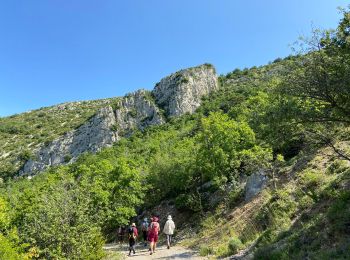 Trail Walking Venterol - Col de Pause  - Photo