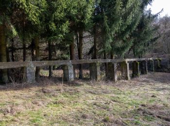 Randonnée A pied Osterburken - Rundwanderweg Barnholz 1: Barnholz-Weg - Photo