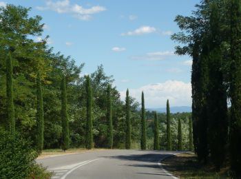 Tour Zu Fuß Figline e Incisa Valdarno - IT-7 - Photo