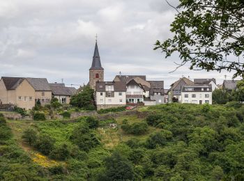 Randonnée A pied Patersberg - Rheinsteig-Zuweg Reichenberg - Photo