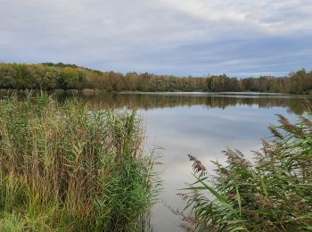 Excursión Senderismo Fère-en-Tardenois - Fére en Tardenois Parc des Bruyères 1 - Photo