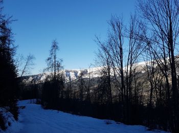 Percorso Racchette da neve Colmars - LAUPON 23.02.19 - Photo