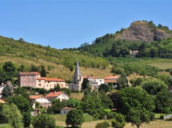 Trail Walking Orbeil - Orbeil_Domaine_Vort - Photo