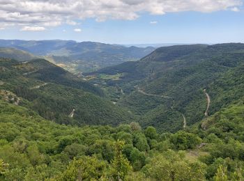 Randonnée Marche Les Plans - Forêt et cirque de Labeil  - Photo
