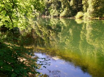 Trail Walking Charmauvillers - Goumois randonnée La Goule  - Photo