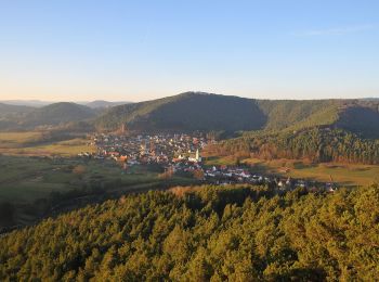 Tocht Te voet Schindhard - Wald-Erlebnisweg - Photo