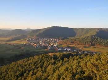 Tour Zu Fuß Schindhard - Wald-Erlebnisweg - Photo