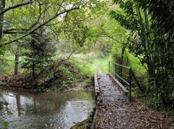 Tour Wandern Saint-Cyr-sur-Loire - Saint-Cyr-sur-Loire la Gagnerie - la Membrolle-sur-Choisille Mettray - 24km 405m 5h15 (50mn) - 2024 10 20 - Photo