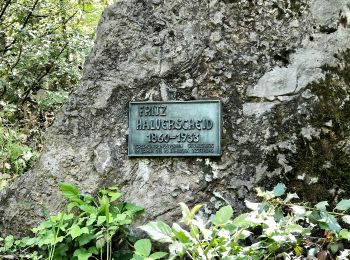 Randonnée A pied Gevelsberg - Gevelsberg A2 - Photo