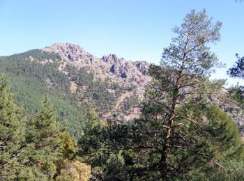 Randonnée A pied San Lorenzo de El Escorial - Senda de los Tesoros de Abantos - Photo