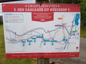 Tour Wandern Le Frasnois - Cascades du Hérisson et les 4 lacs  - Photo