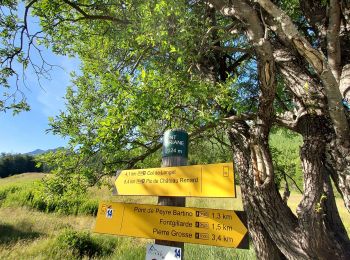 Trail Walking Molines-en-Queyras - Col Longet.Pic Traversier. 21/07/21 - Photo