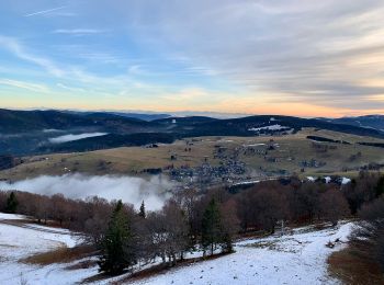 Randonnée A pied  - Laufstrecke Schauinsland Berglauf - Photo