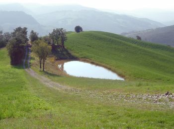 Percorso A piedi Marano sul Panaro - IT-416 - Photo