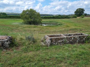 Trail Walking Rocamadour - les lavandes d'Alix - Photo