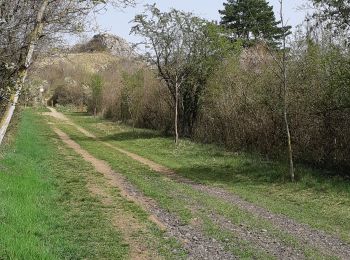 Tour Wandern Cournon-d'Auvergne - LES COTEAUX DE COURNON - Photo