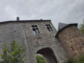 Randonnée Marche Fontaine-l'Évêque - promenade de l'abbaye d'Aulne n°10 - Photo