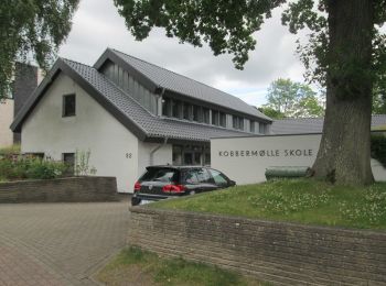 Randonnée A pied Harrislee - Rundwanderweg 6: Wassersleben/Klueser Wald - Photo