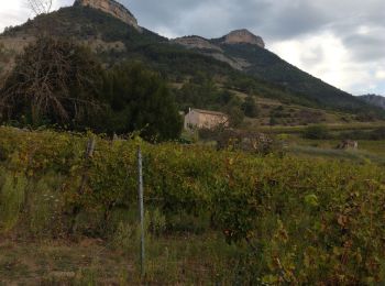 Excursión Senderismo Vercheny - Château de Barry - Photo