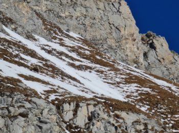 Excursión Raquetas de nieve Pralognan-la-Vanoise - Bachor - Photo