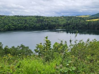 Tour Wandern Charbonnières-les-Vieilles - Charbonniere les vieilles_Tazenat_T - Photo