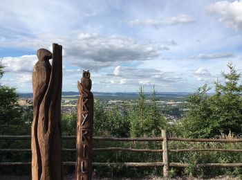 Tocht Te voet Ilmenau - Ilmenauer Naturpfad - Photo