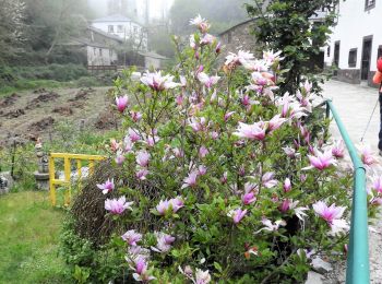 Tocht Stappen Triacastela - 08.05.18 Triacastela--Sarria - Photo