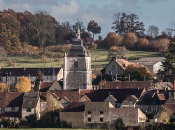 Randonnée Marche Bretoncelles - Les Bruyères du Noyer 13,0 Km - Photo