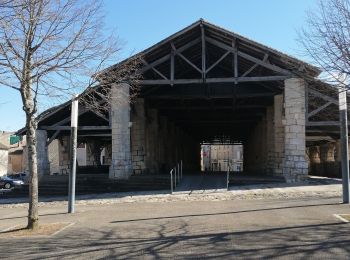 Tour Wandern Valence-en-Poitou - Couhé - Photo