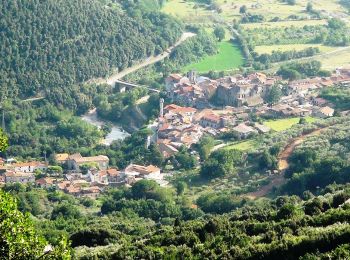 Tocht Te voet Faicchio - Castello Valle Santa - Photo