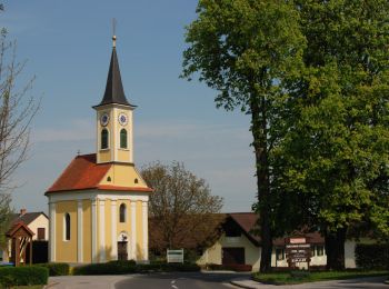 Randonnée A pied Söchau - Weinbergtour - Photo