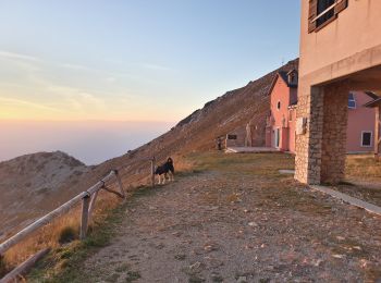Trail On foot Ferrara di Monte Baldo - Sentiero Agostino Goiran - Photo