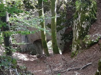 Trail Walking Saint-Hippolyte - St Hippolyte - Grotte du Château de la Roche - Grotte du Bisontin - Photo