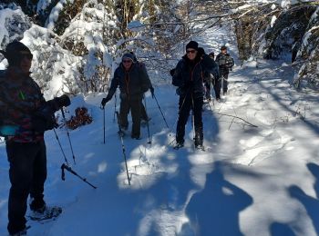 Randonnée Raquettes à neige Presles - la Goulandiere - Photo