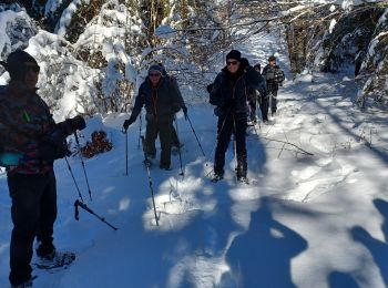 Tocht Sneeuwschoenen Presles - la Goulandiere - Photo