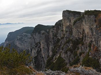 Tour Zu Fuß Amblar-Don - IT-560 - Photo