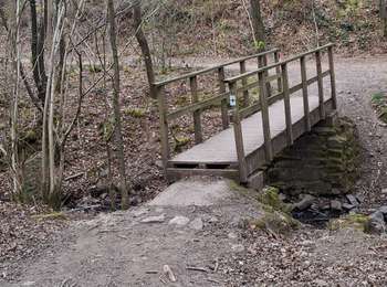 Tour Wandern Sprimont - Banneux ( fond des 3 bois ) - Photo