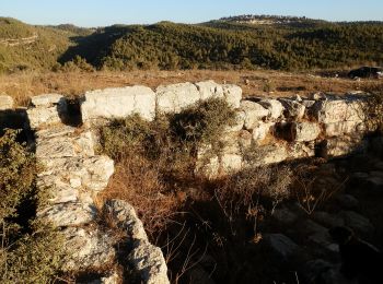 Percorso A piedi מועצה אזורית מטה יהודה - IL-9348 - Photo